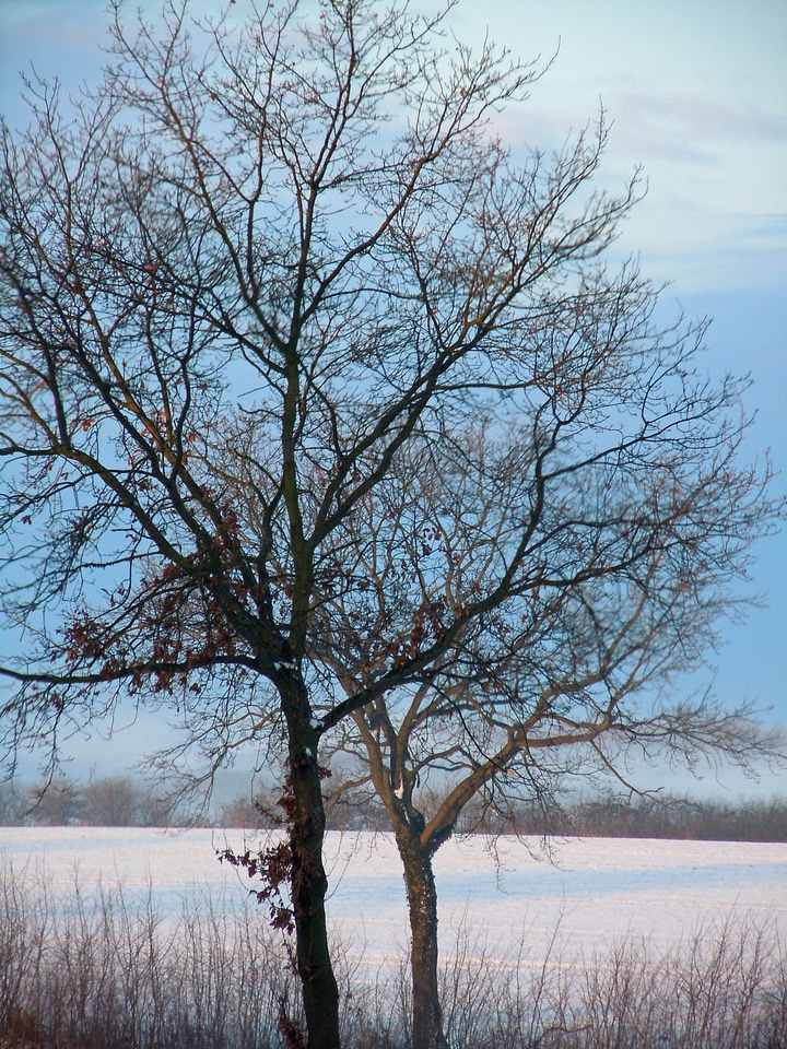 Winter icy cold