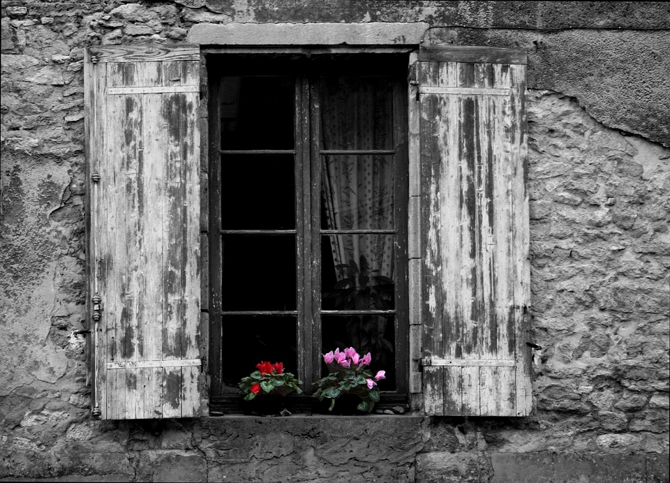 Window flower flower box photo
