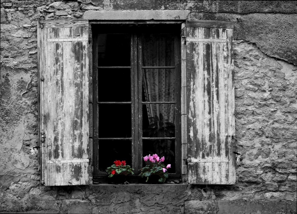 Window flower flower box