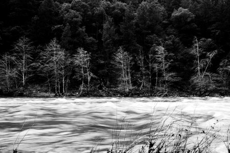 River Rapids photo