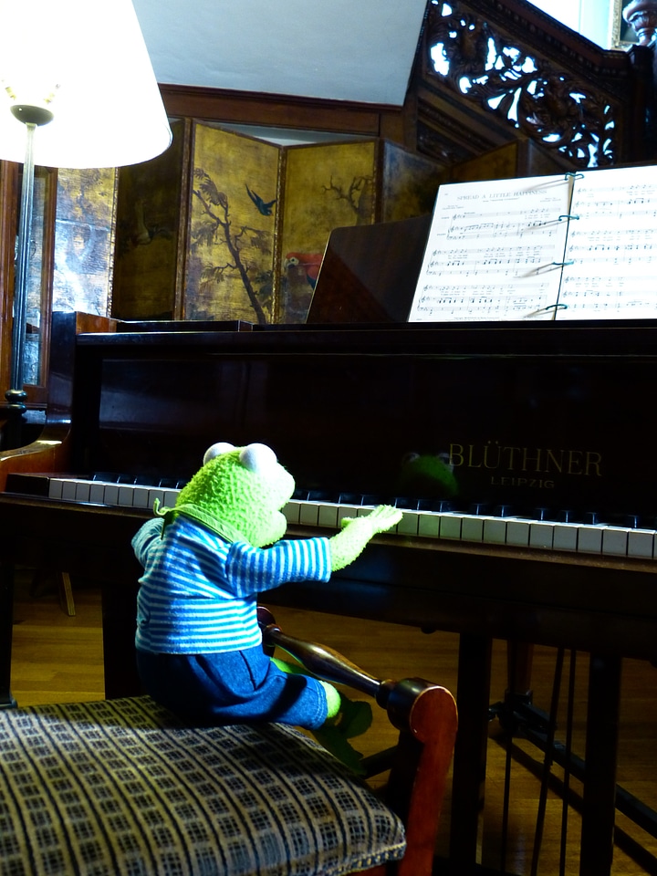 Play exercise musician