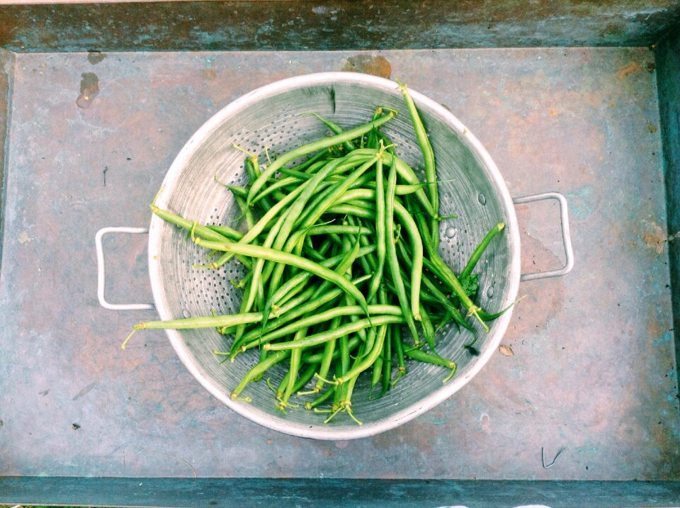 Green Beans Vegetables 