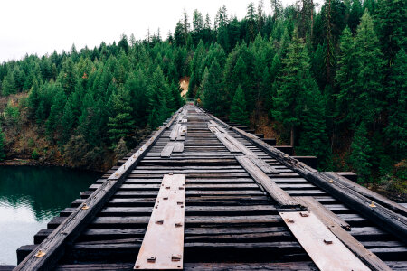 Wood Bridge photo