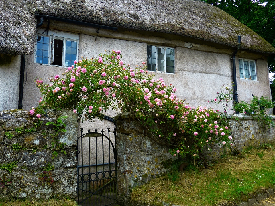 Old romantic building