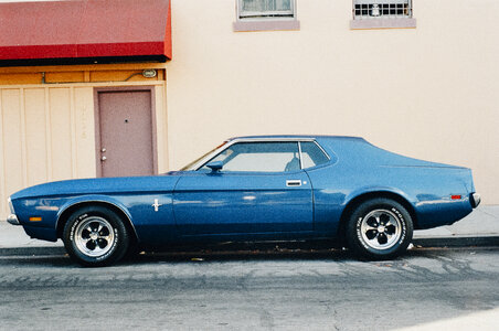 Blue Mustang photo