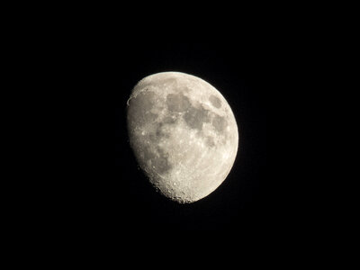 Moon Dark