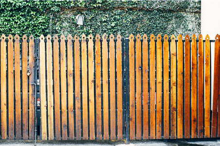 Wood Fence photo