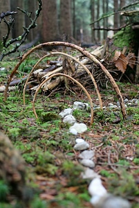 Indians shaman shamanism