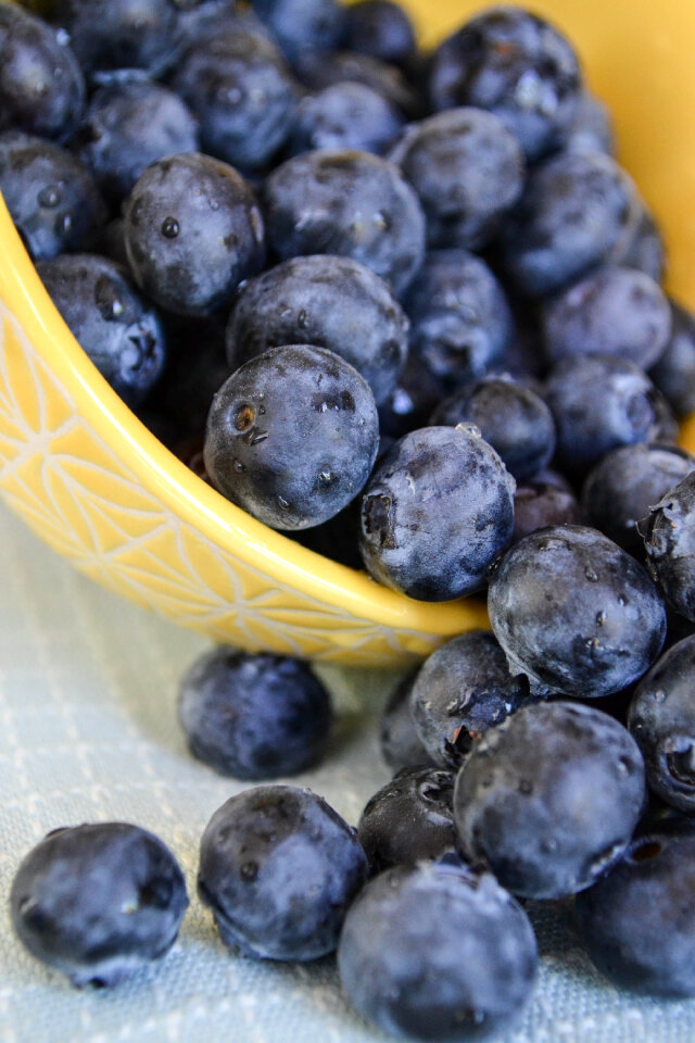 Blueberries Fruits