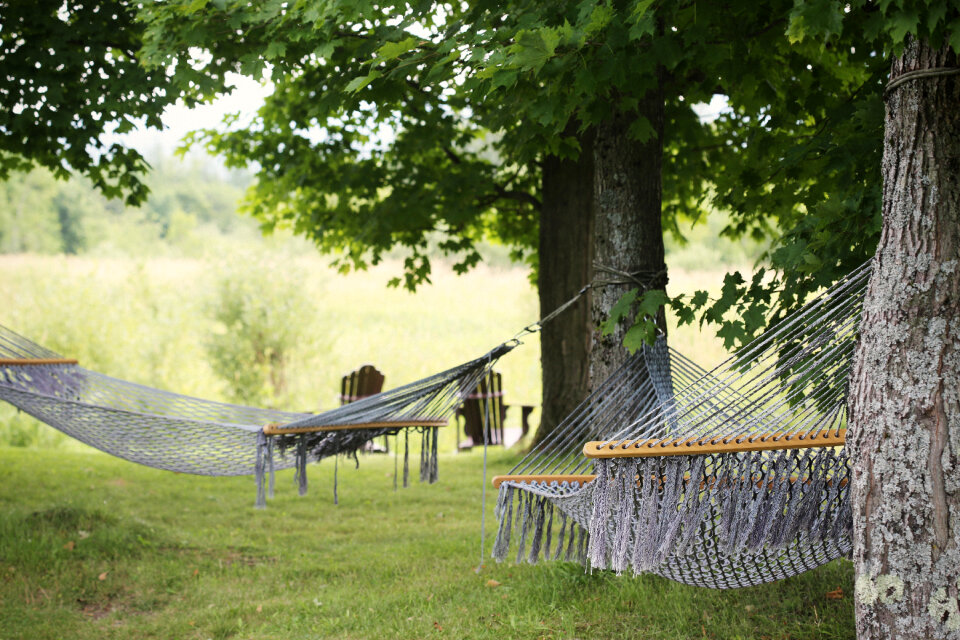 Hammocks Trees photo