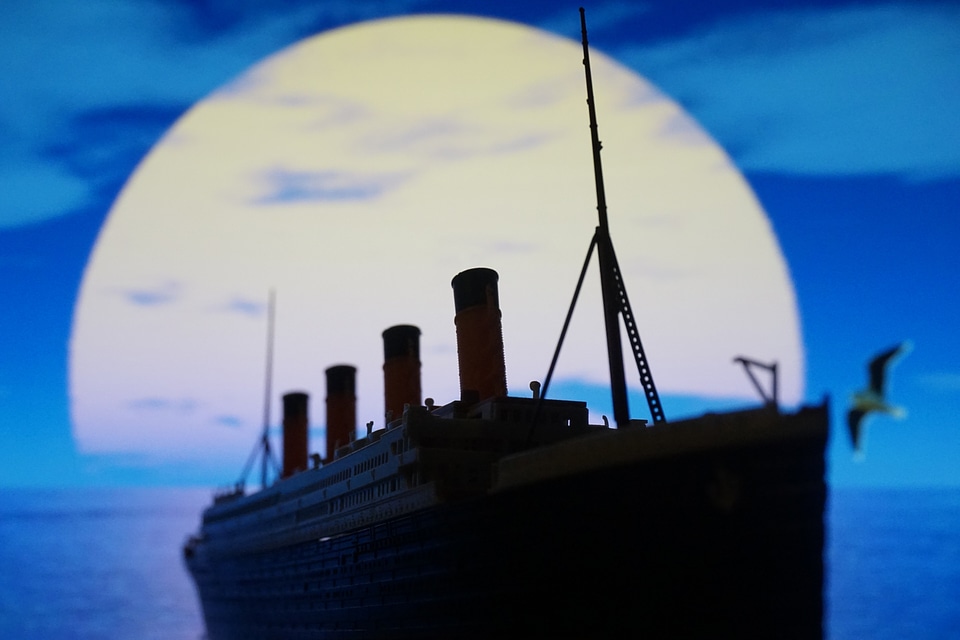 Titanic seagull sea