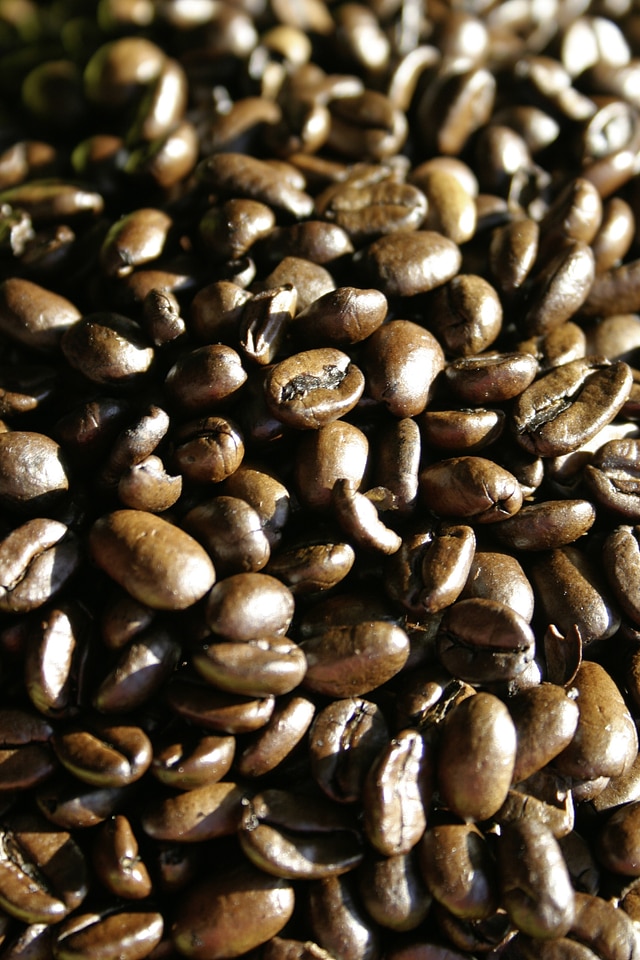 Brown aroma cafe