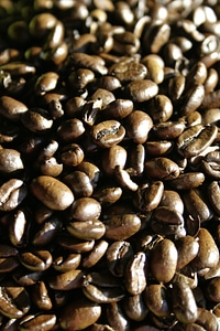 Brown aroma cafe photo
