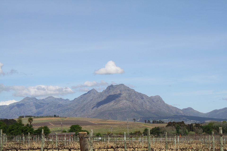 Winery farm agriculture