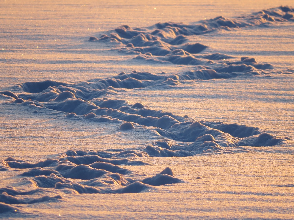 Zig zag trudge snow tramp