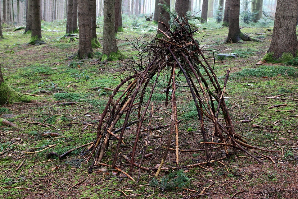 Rituals indians shaman