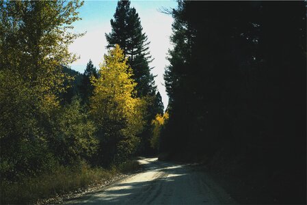 Rural Road