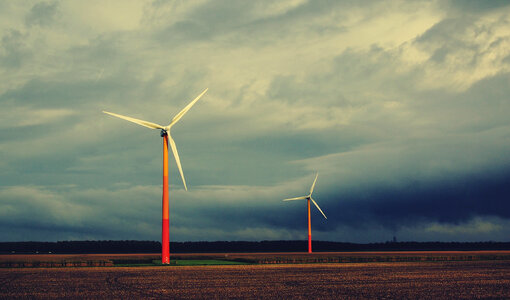 Windmills Fields photo