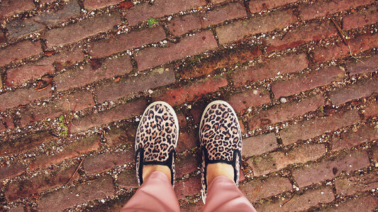 Cheetah Print Shoes