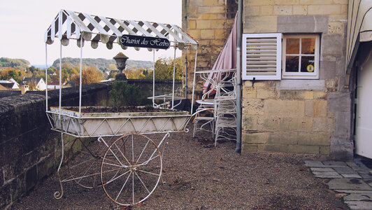 Chariot Cart photo