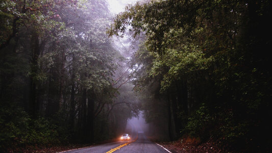 Road Fog photo