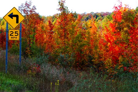 Autumn Fall photo