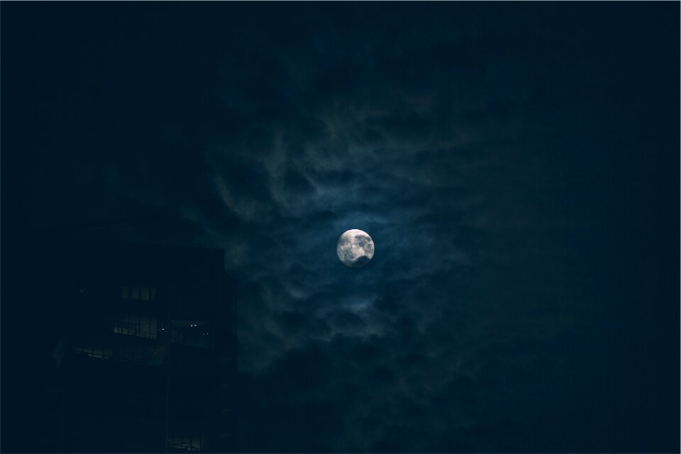 Moon Night photo