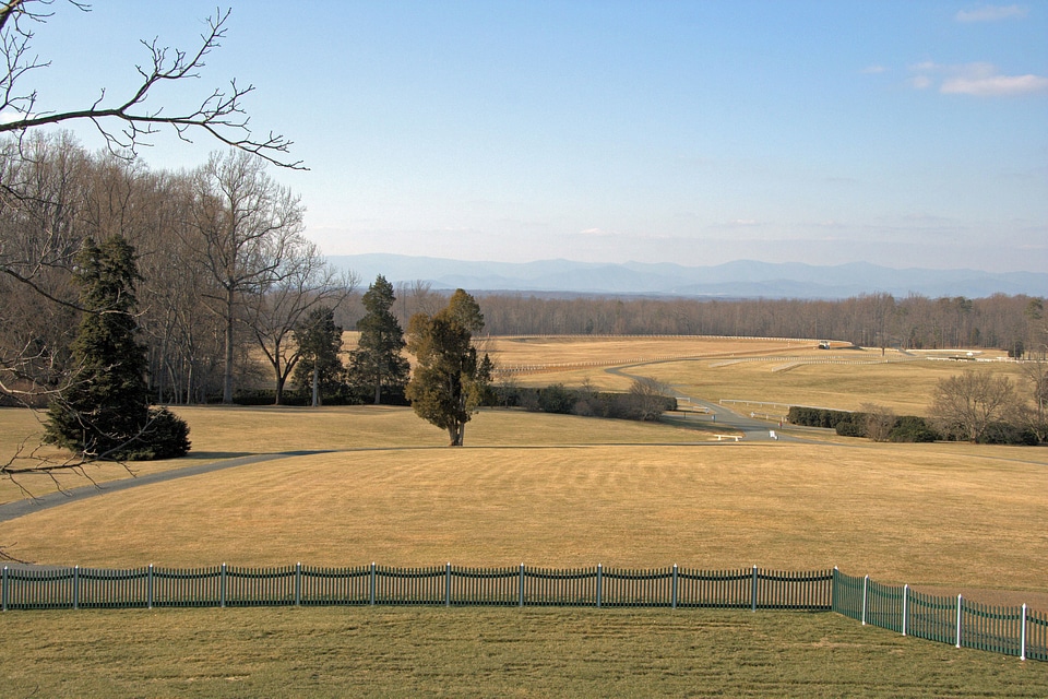 Nature meadow field