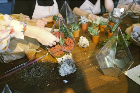 Gardening Pots