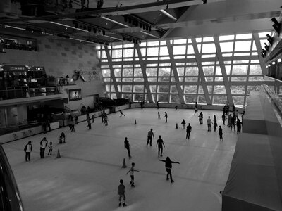 Skating Rink photo