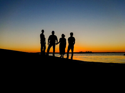 Silhouette Family