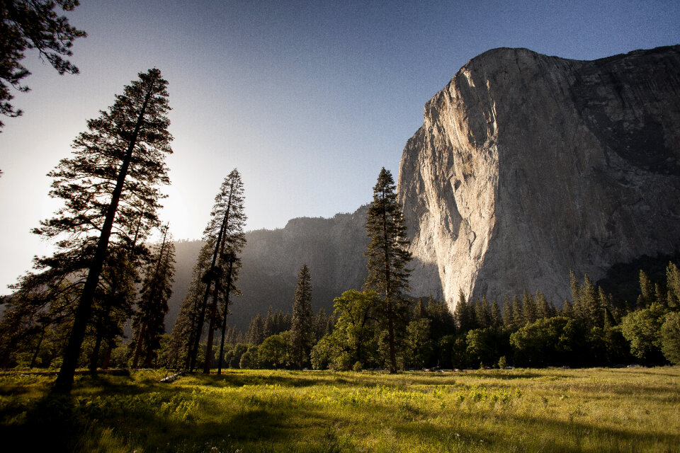 Landscape Grass photo