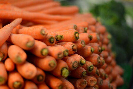 Carrots Vegetables photo