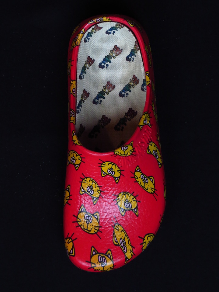 Shoes slippers dutch