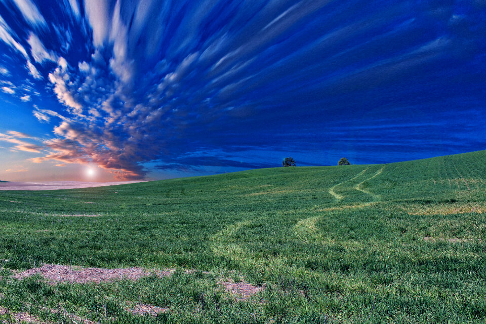 Green Grass