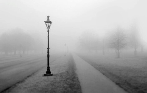 Foggy Lamp Post photo