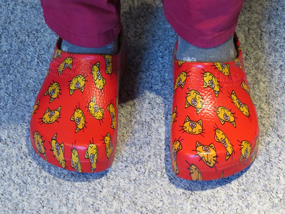 Shoes slippers dutch
