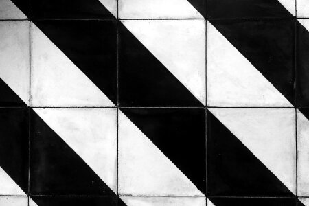 Black And White Stripes photo