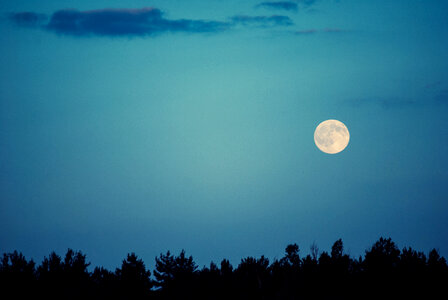 Moon Sky photo