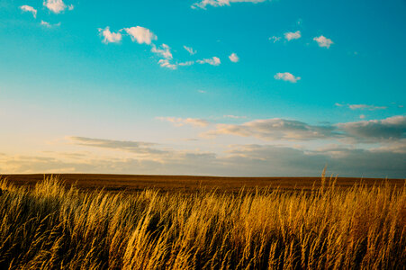 Landscape Field photo