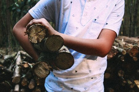 Wood Logs photo