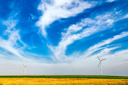 Windmills Field photo