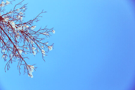 Blue Sky photo