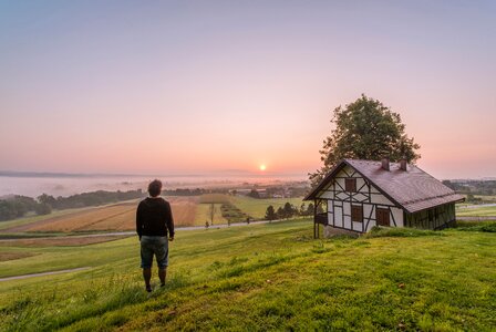 Green Grass photo