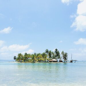 Palm Trees Island photo