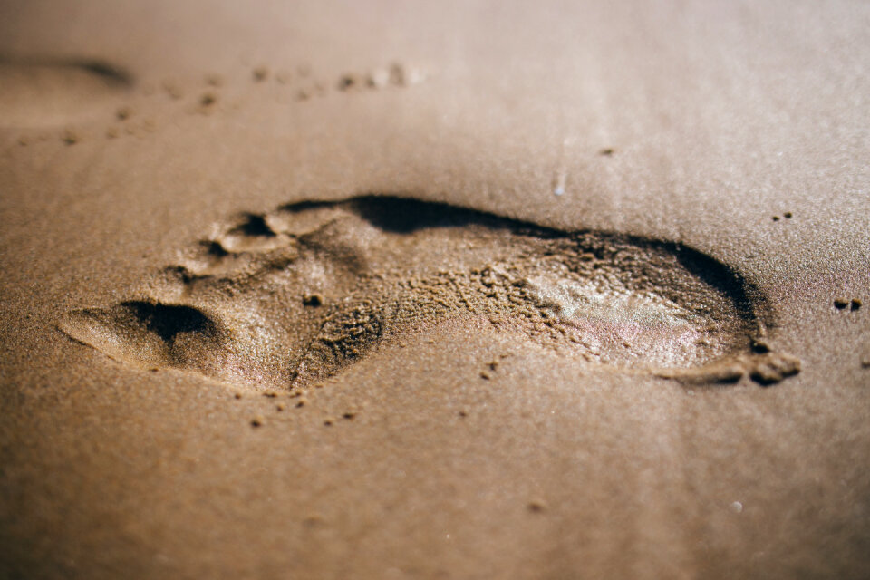 Footprint Beach photo