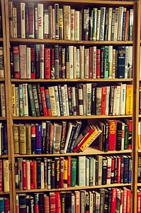 Bookshop reading education photo