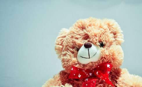 Teddy Bear Stuffed Animal photo