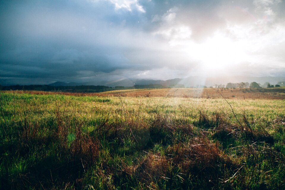 Grass Field photo