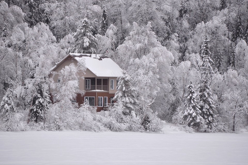 Nature snowy white photo